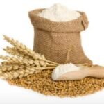 100% Pure Wheat Flour